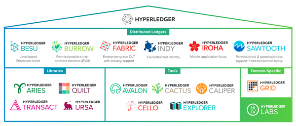 Rastlinjak Hyperledger je vključeval več projektov, ki temeljijo na Ethereumu Source https www hyperledger org projekti